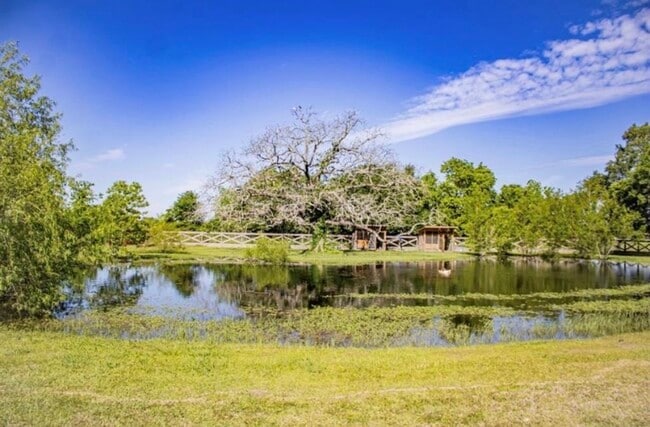 Photo - 1566 County Rd 610