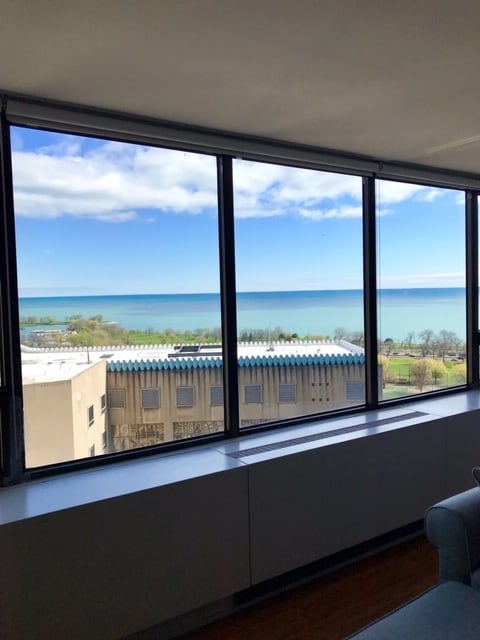 Building Photo - 2800 N Lake Shore Dr Unit 2213
