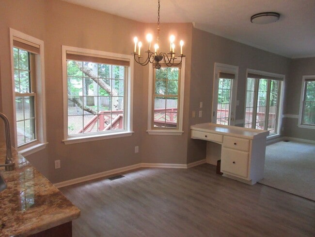 Photo - Running Man Stunner