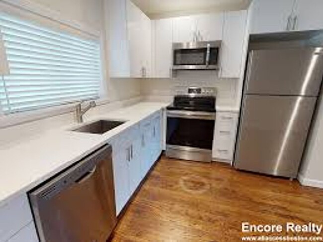 Large Unit in Brookline Village, In-Unit W... - Large Unit in Brookline Village, In-Unit W... Rental