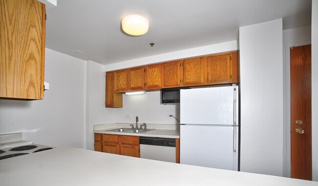 Photo - 1715 Chicago Ave Apartment Unit 817N