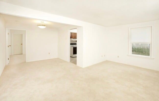 Photo - Chapin Apartments