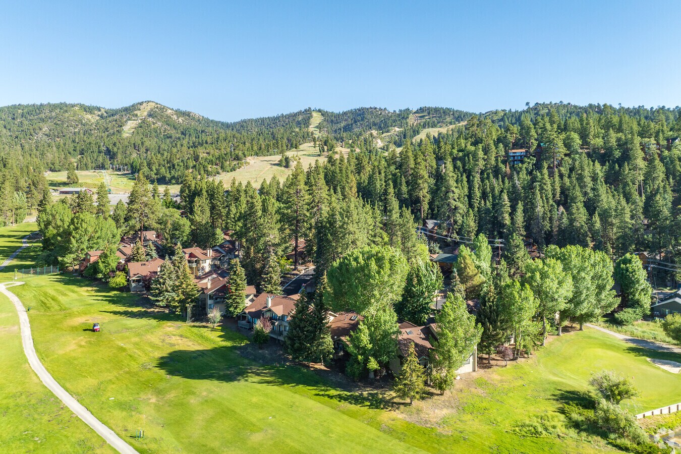 Photo - Bear Meadows