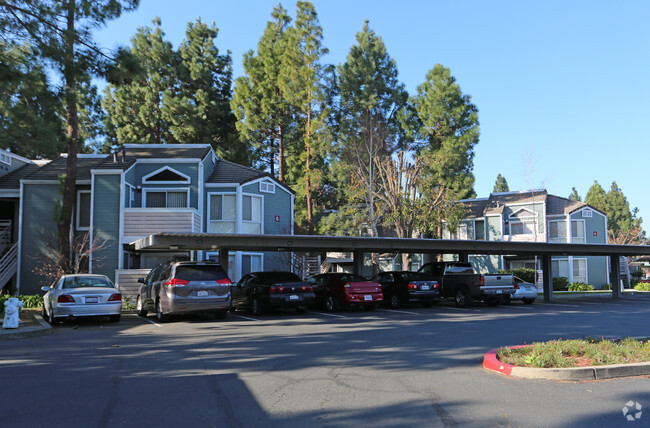 Willow Glen Apartments - Willow Glen Apartments