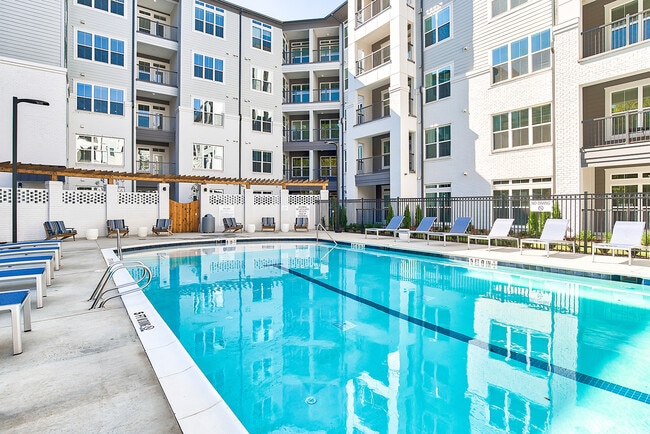 Saltwater Pool with Sun Ledge