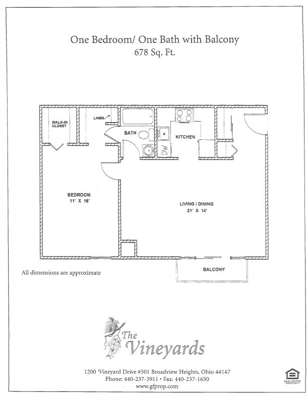 Photo - The Vineyards