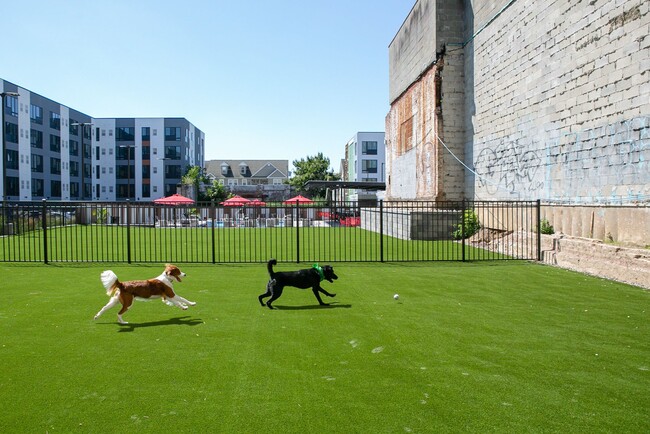 Pet Play Area - The Hub at 31 Brewerytown Apartments