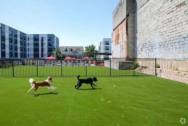 Building Photo - The Hub at 31 Brewerytown Rental