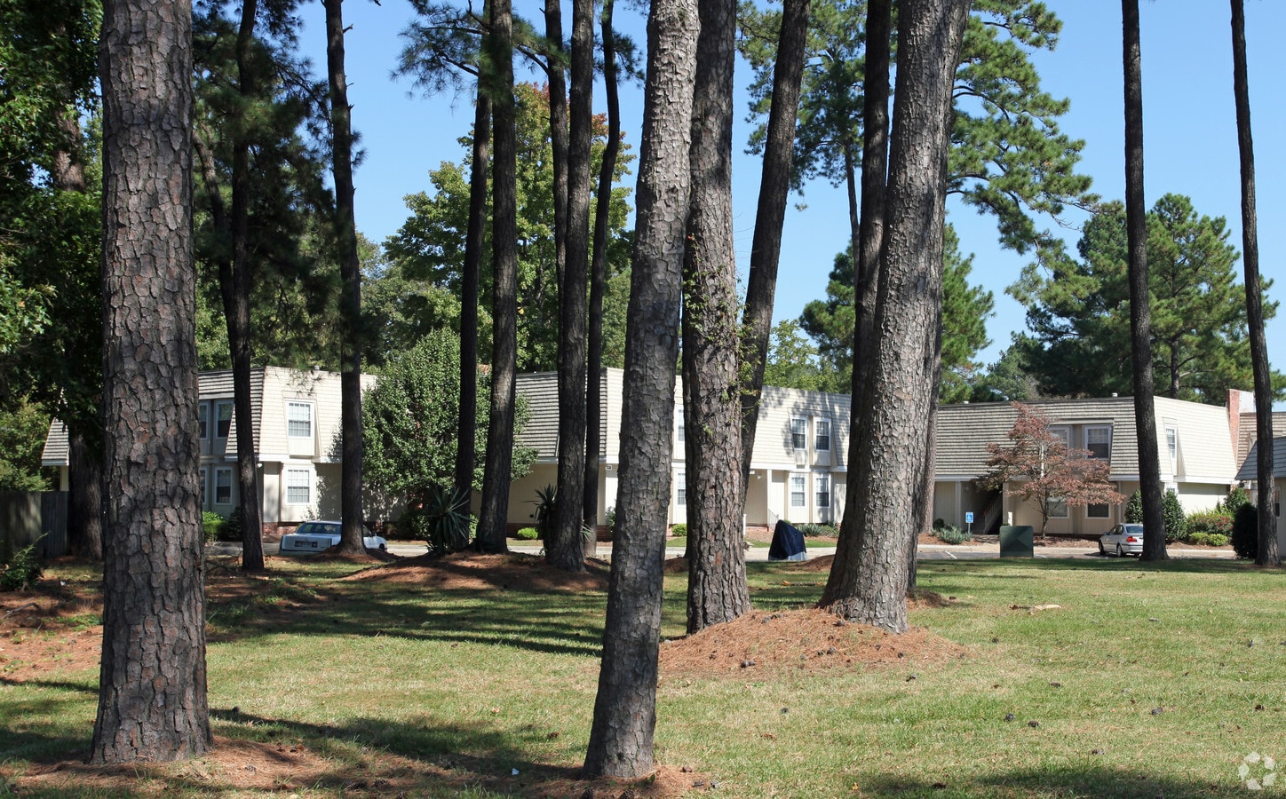 Photo - Colony Pines