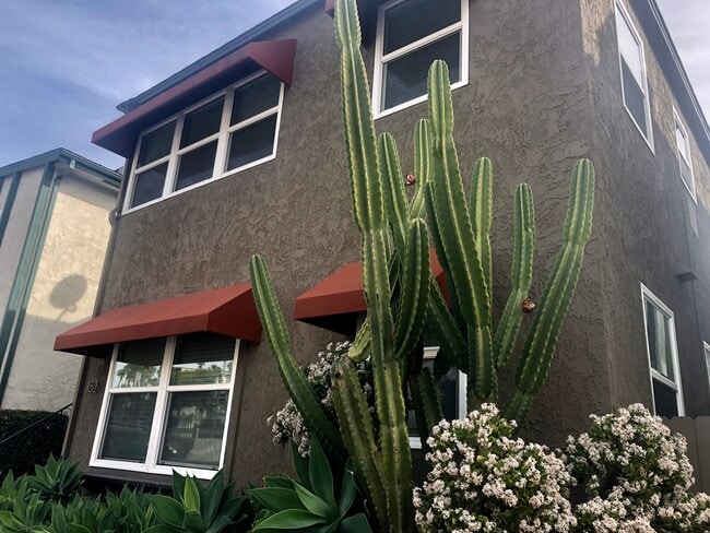 Building Photo - 152 Ximeno Ave Unit C