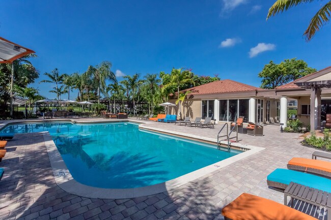 Pool - Centro at Davie Apartments