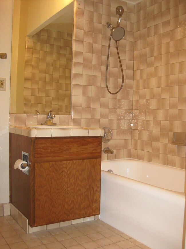 Bathroom - Alta Pine Apartments Unit 1