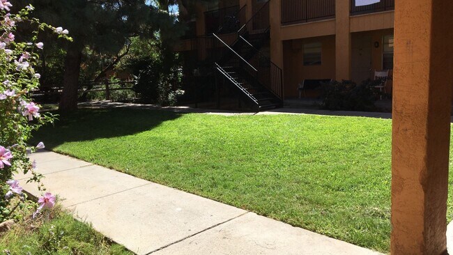 Photo - Pine Park Apartments