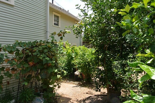 Photo - 514 E 15th St Unit 2