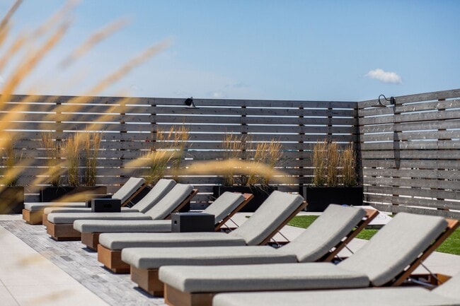 Photo - Canfield Park