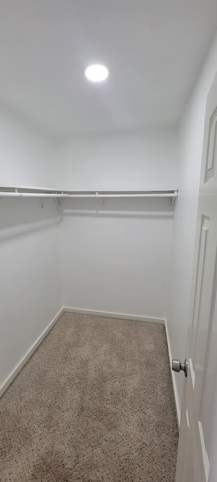 Photo - 3116 Bolt St