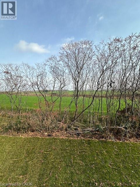 Photo - 40 Walker Rd