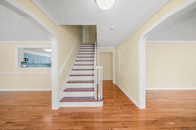 Photo - 20 Rosina Rd