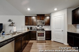 Photo - 822 Brown Thrasher