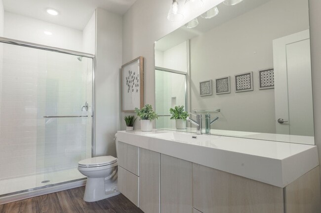 Photo - Canfield Park