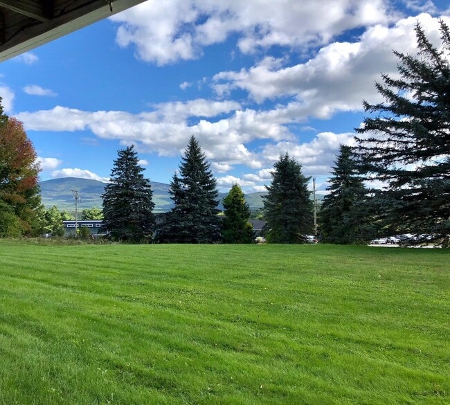 Building Photo - 1125 Main St