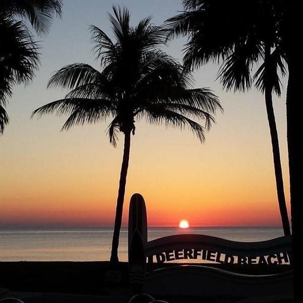 Photo - 1537 E Hillsboro Blvd Unit 438