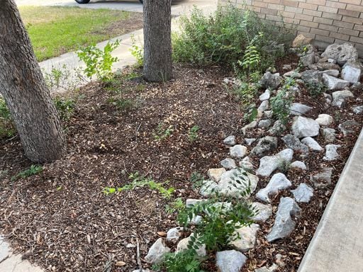 Photo - Rivermist Subdivision 3/2/2 Plus Study/Fle...