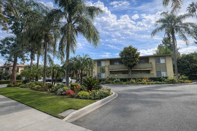 Palm Vista