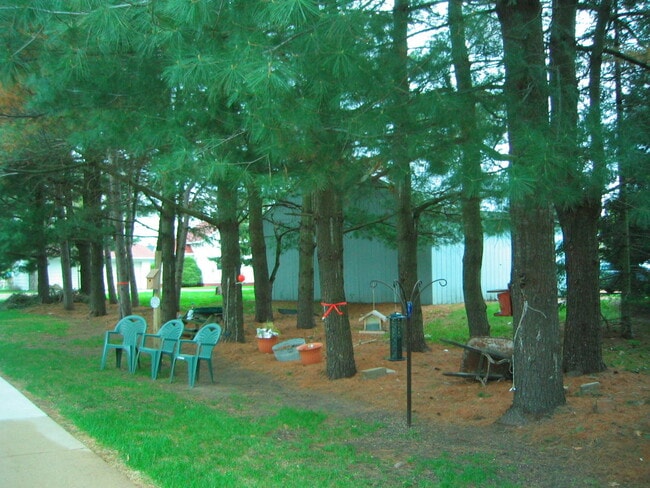 Pines Apartments