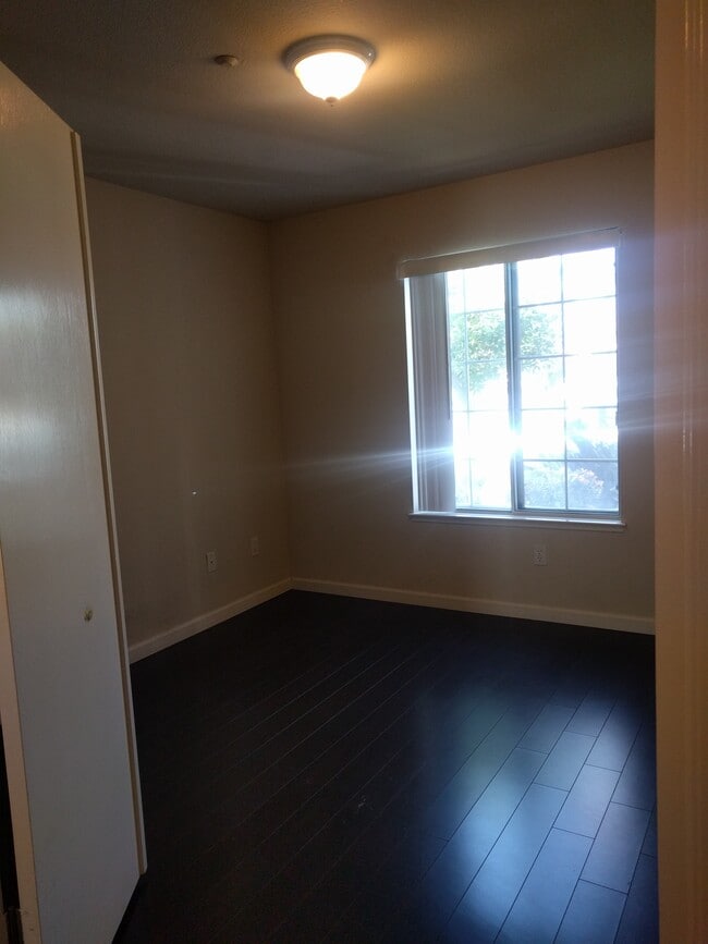 Photo - 5674 Impatiens Cmn Unidad 5674 Impatiens Cmn