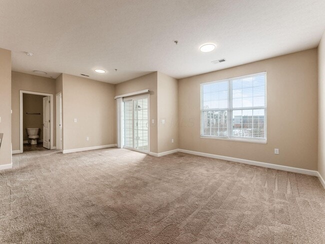 5898 Whitebark Pine Trail