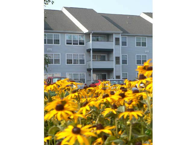 Delaware State University Off Campus Housing Apartments Forrentuniversity Delaware State University Off Campus Housing Apartments Forrentuniversity