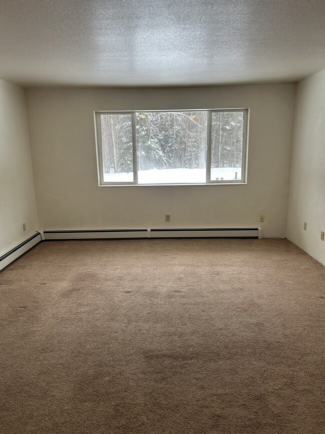 Living Room - 3555 Old Richardson Hwy Unit 2