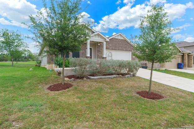 Photo - 11426 Tiger Woods