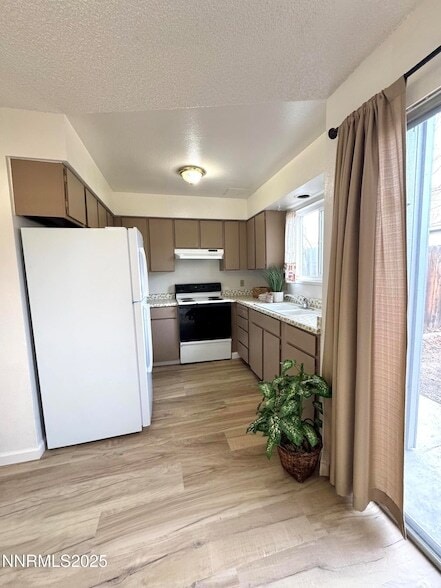 Photo - 827 Belli Dr