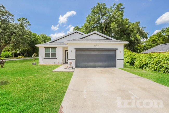 Building Photo - 1297 13th St