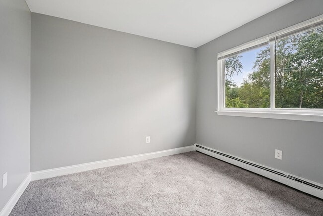 Photo - Blackwood Falls