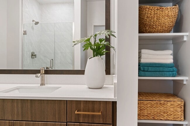 Distinctive bathroom features