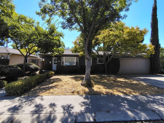 Photo - 1538 Maplewood Dr