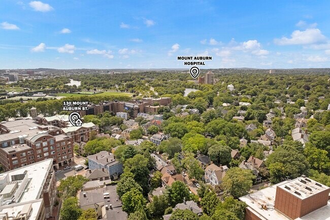 Photo - 130 Mt Auburn St Unit 113