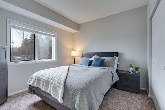 Renovated Bedroom With Lots Of Natural Light