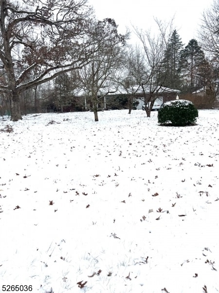 Photo - 19 Lavina Terrace