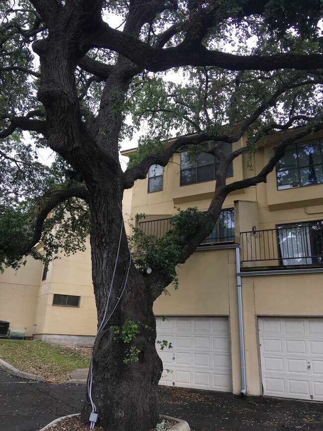 Photo - 8642 Fredericksburg Rd Unit Medical Center Townhouse