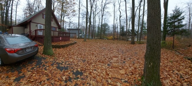 Fall front yard - 29 Wildflower Dr