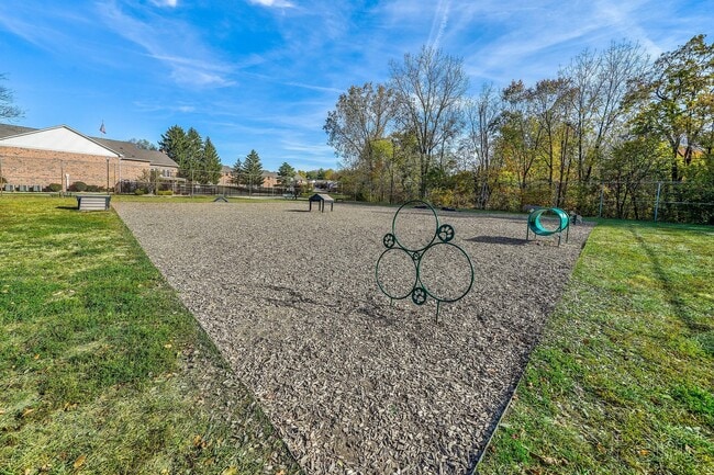 Leash-free Bark Park