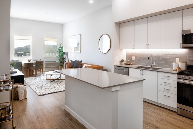 Kitchen and living room with hard surface flooring