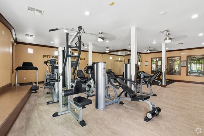 Gimnasio