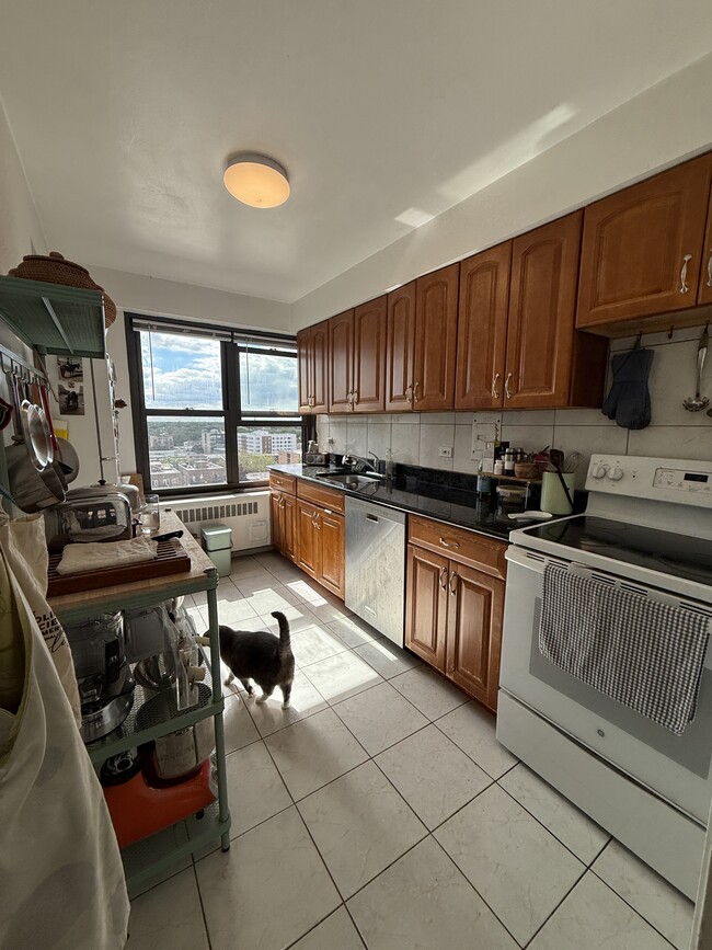 Building Photo - 6118 N Sheridan Rd Unit 1208