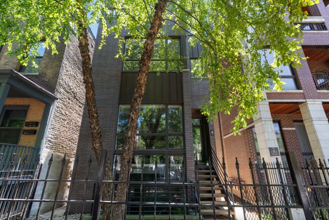 1131 W Addison St Unit 2