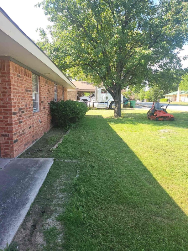 Building Photo - 305 Sierra Vista Dr Rental